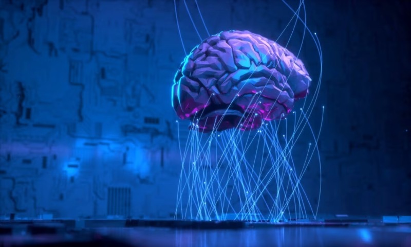 扎赉特旗信创改造:你的开发团队为何必须具备多样性?